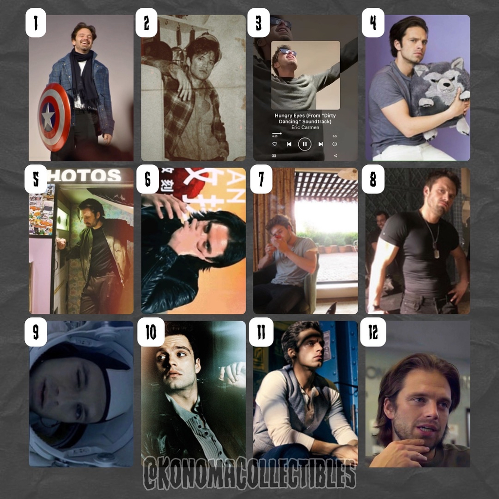 Sebastian Stan Photo Cards