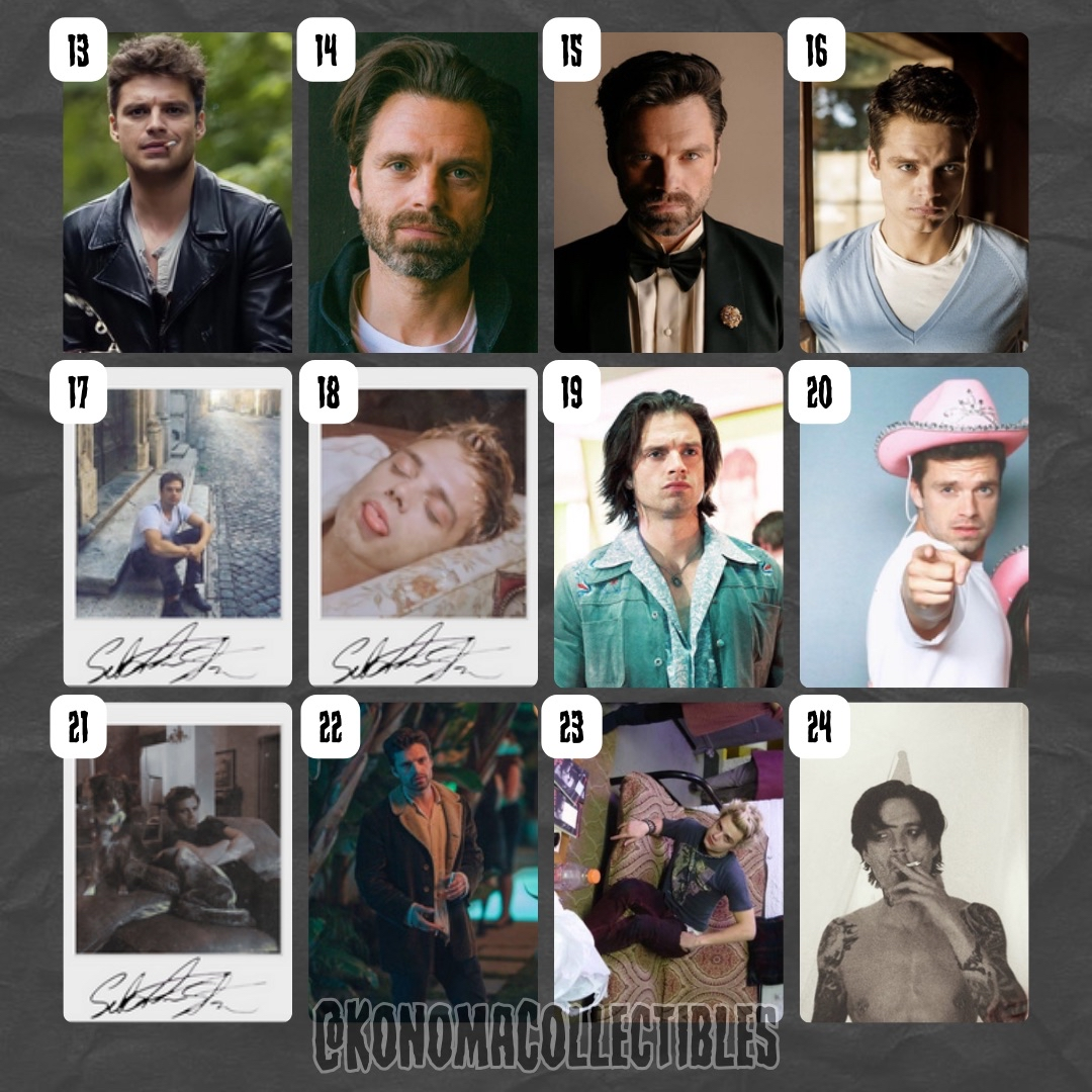 Sebastian Stan Photo Cards