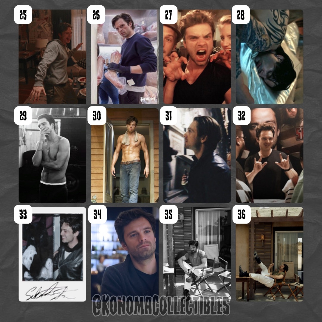 Sebastian Stan Photo Cards