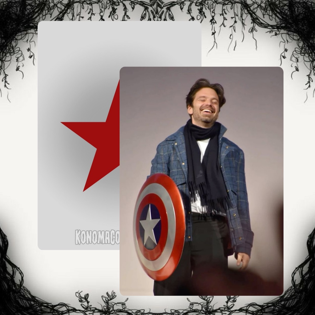 Sebastian Stan Photo Cards