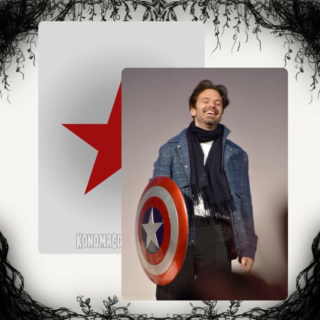 Sebastian Stan Photo Cards