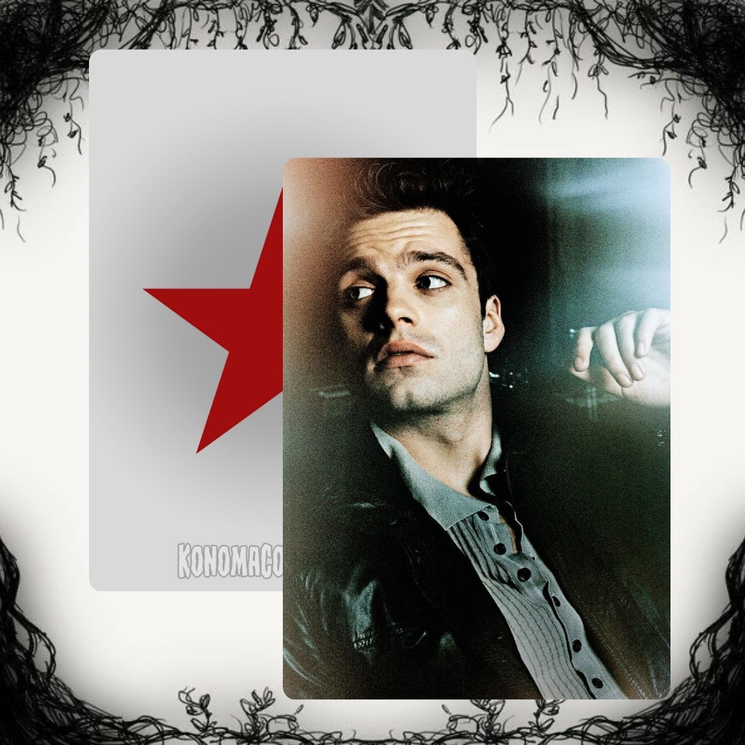 Sebastian Stan Photo Cards