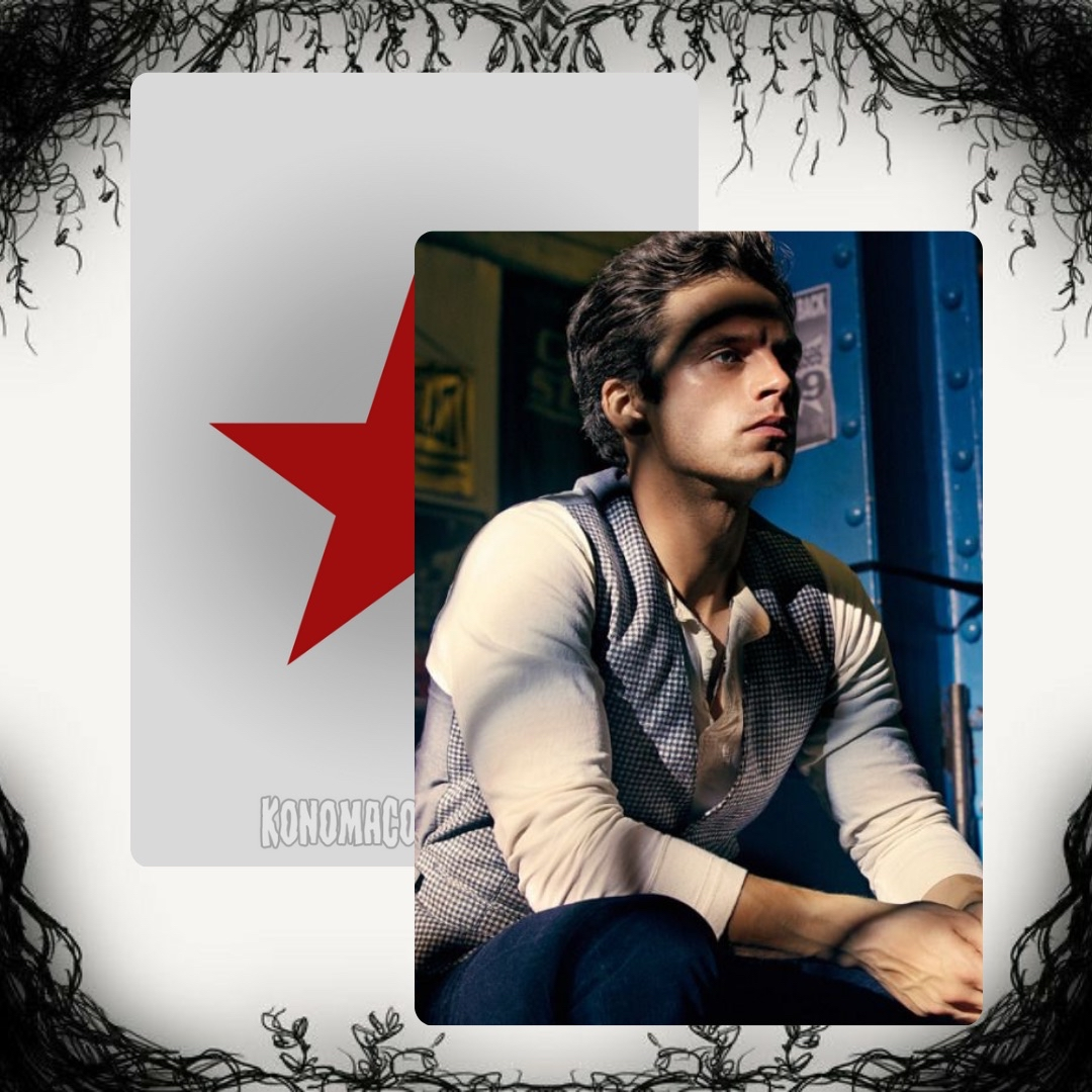 Sebastian Stan Photo Cards