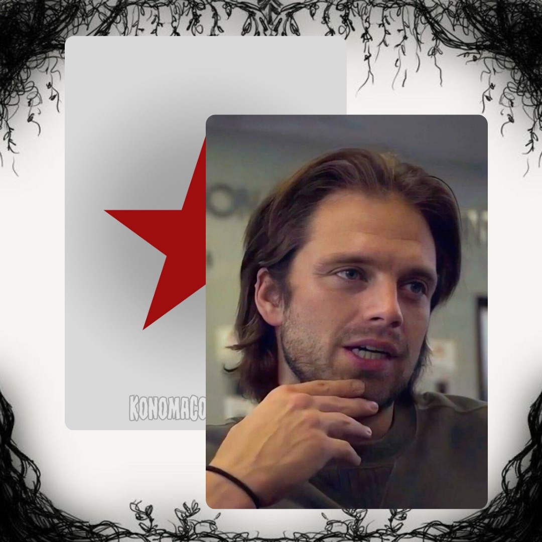 Sebastian Stan Photo Cards