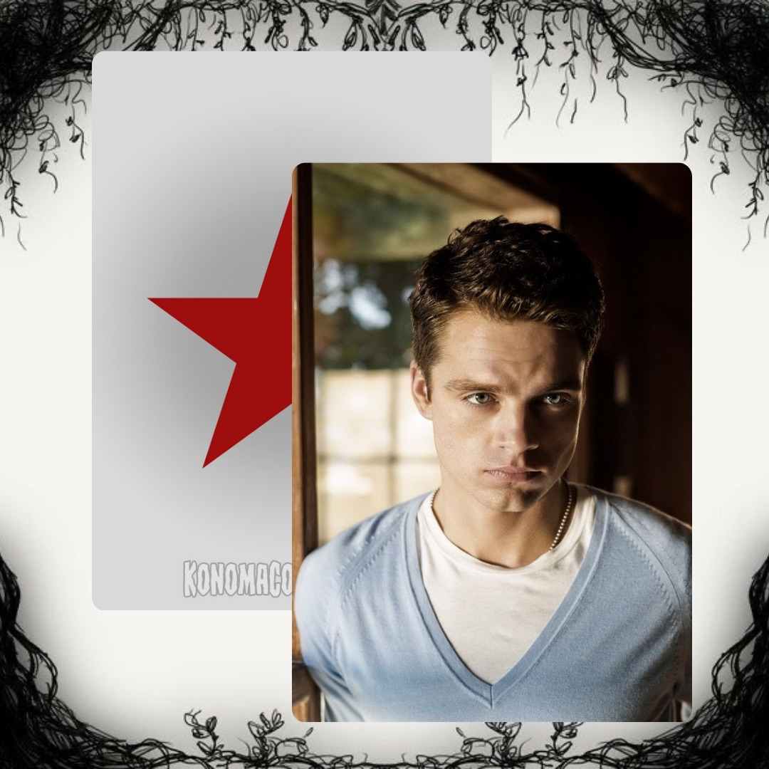 Sebastian Stan Photo Cards