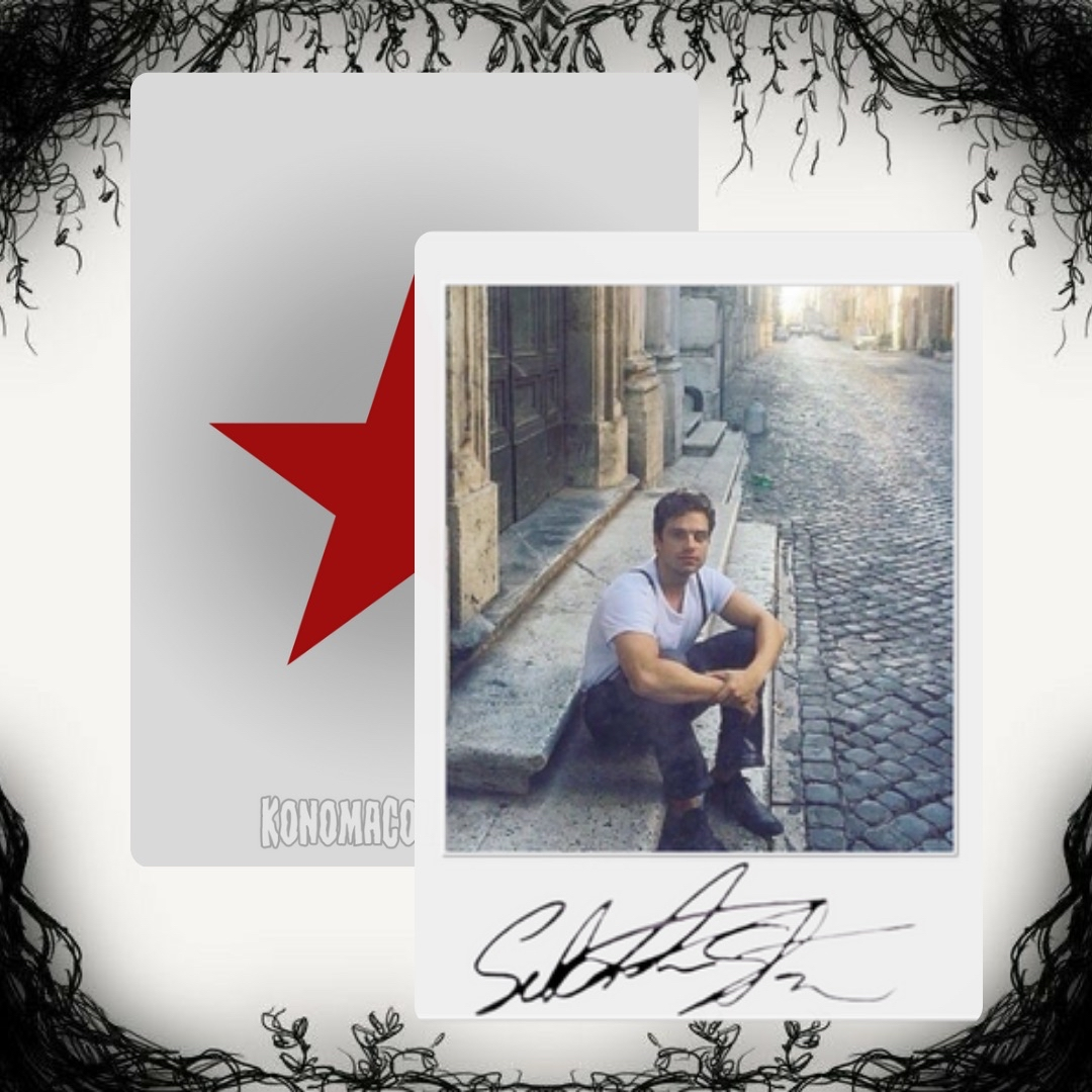 Sebastian Stan Photo Cards