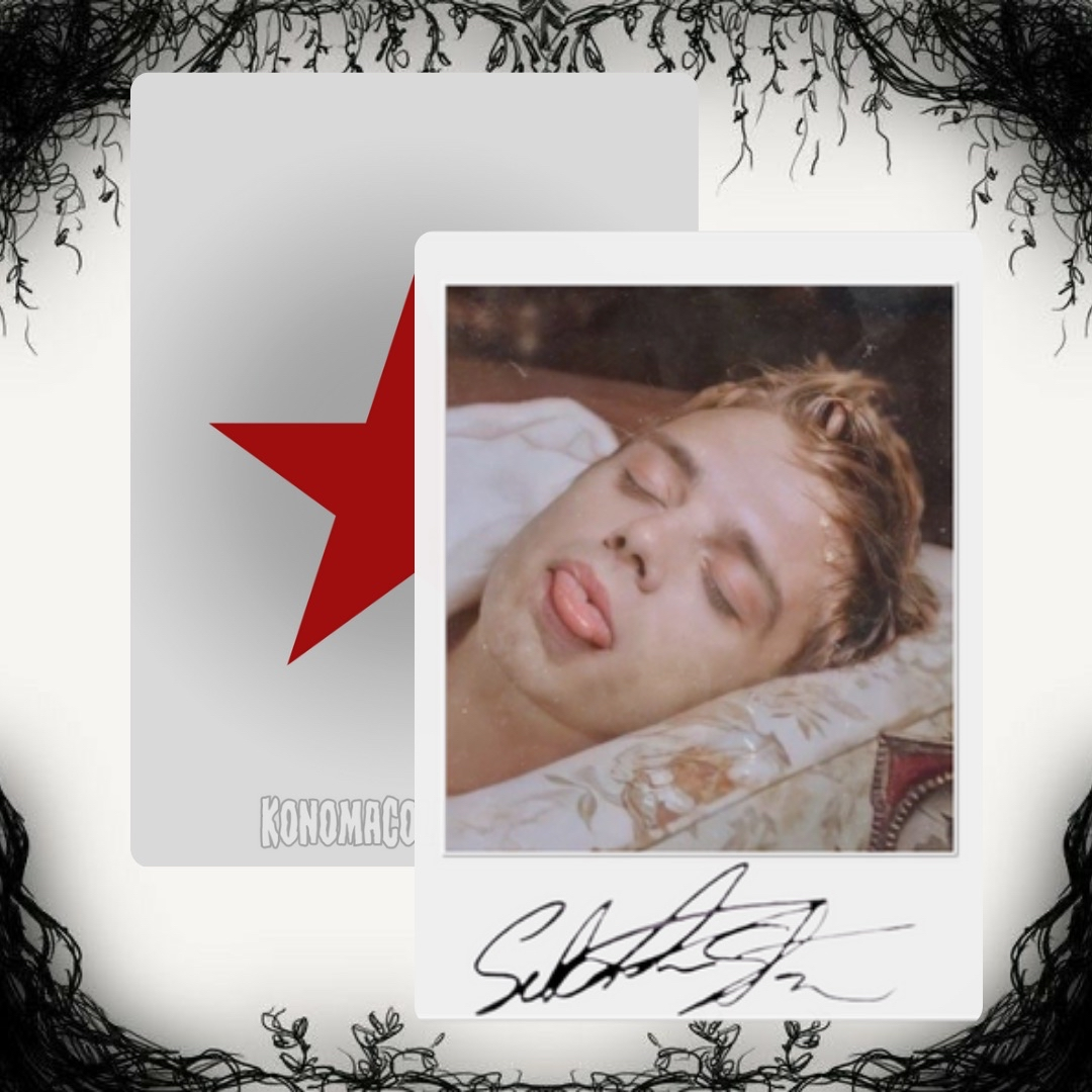 Sebastian Stan Photo Cards