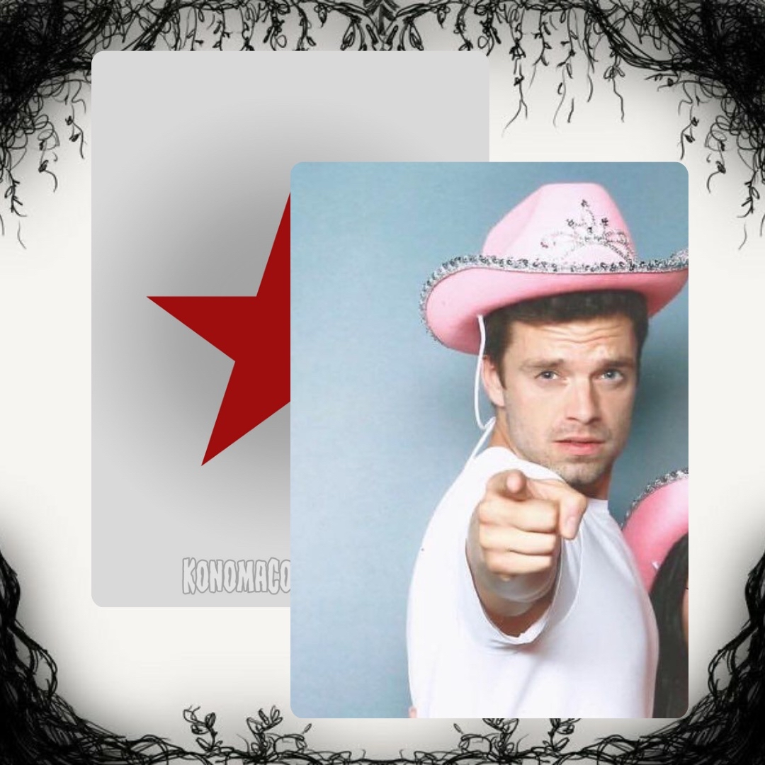 Sebastian Stan Photo Cards