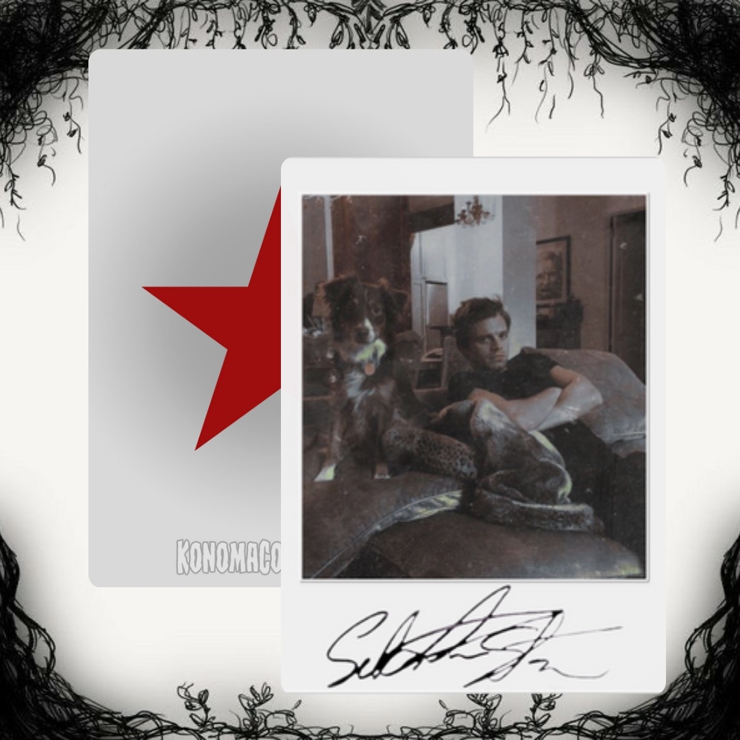 Sebastian Stan Photo Cards