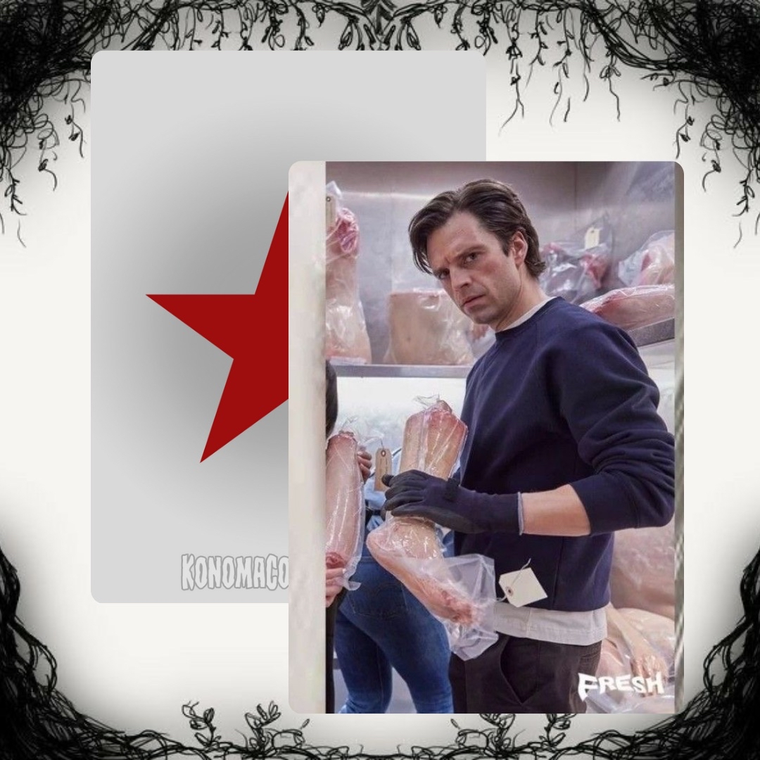 Sebastian Stan Photo Cards