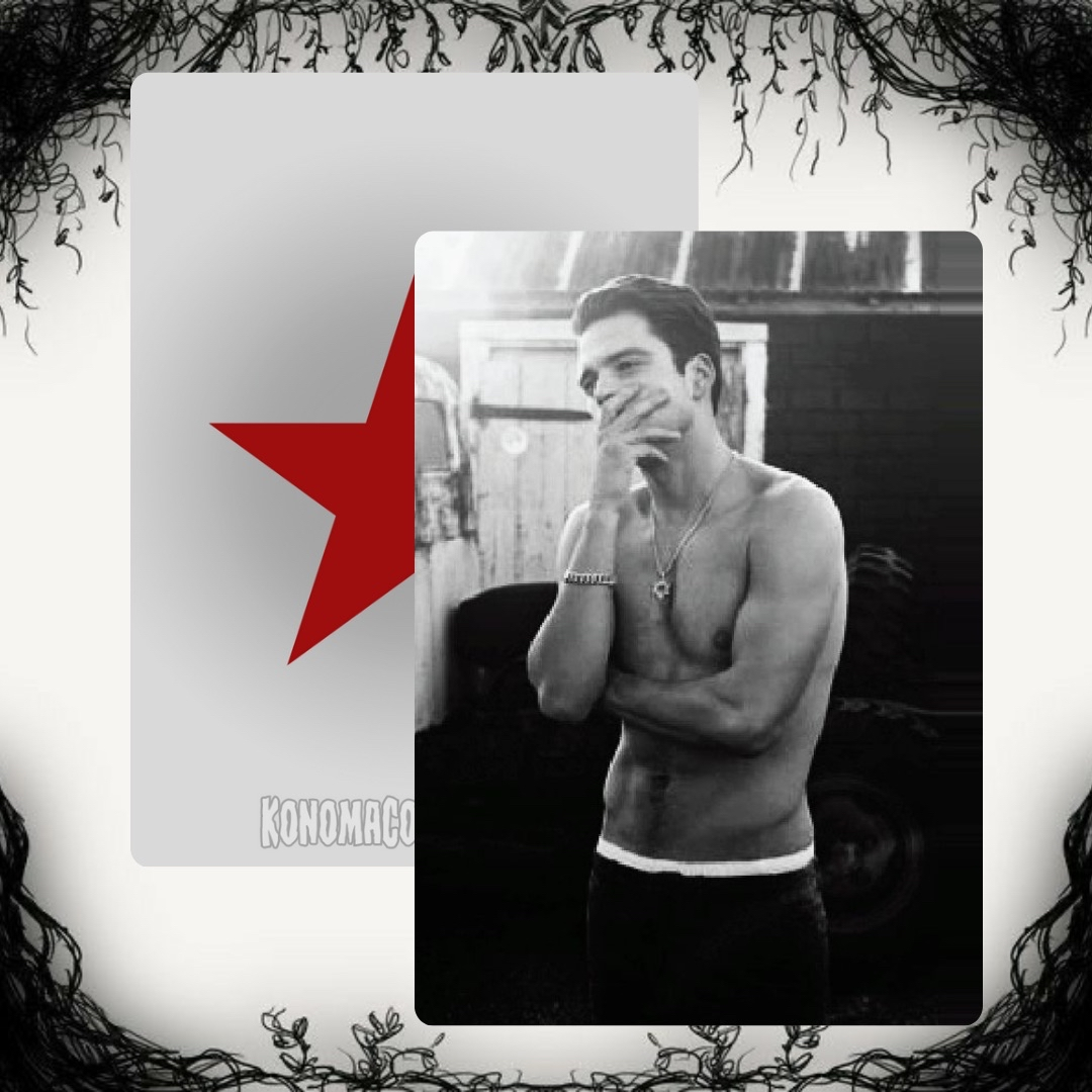 Sebastian Stan Photo Cards