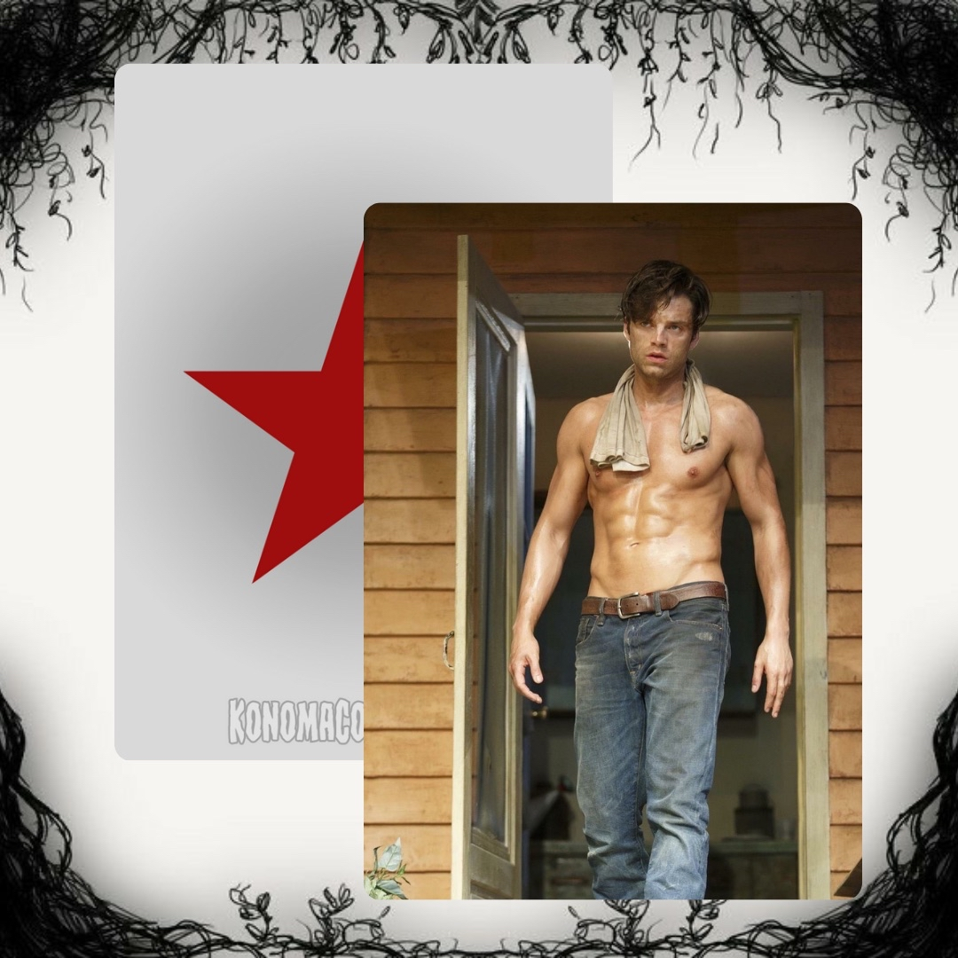 Sebastian Stan Photo Cards