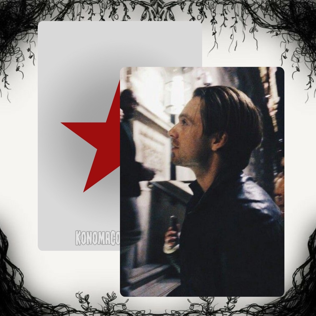 Sebastian Stan Photo Cards