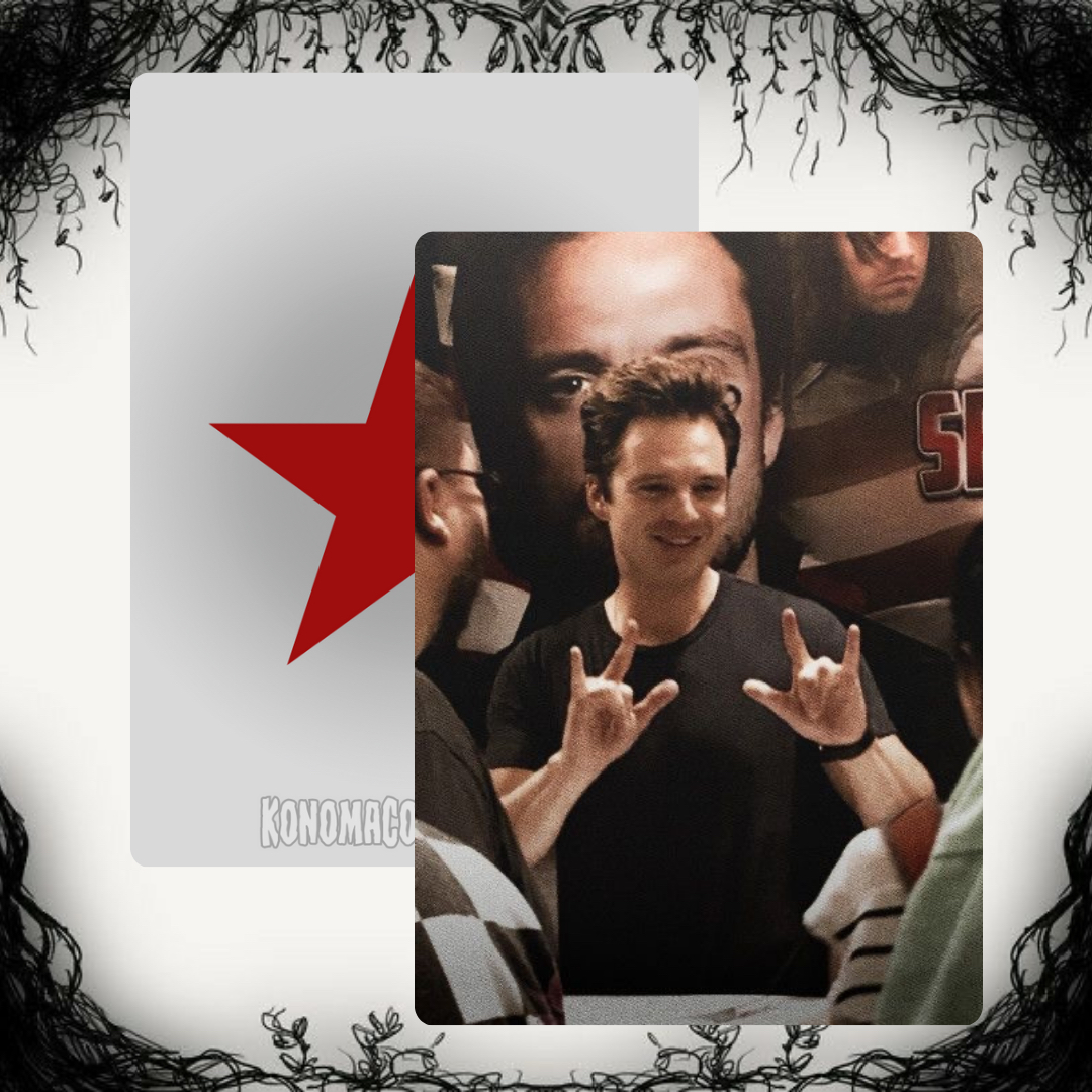 Sebastian Stan Photo Cards