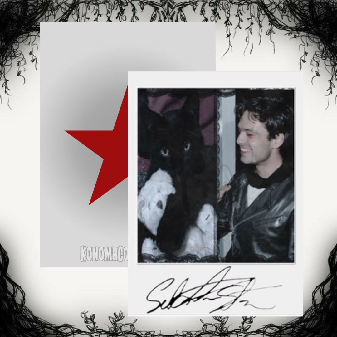 Sebastian Stan Photo Cards