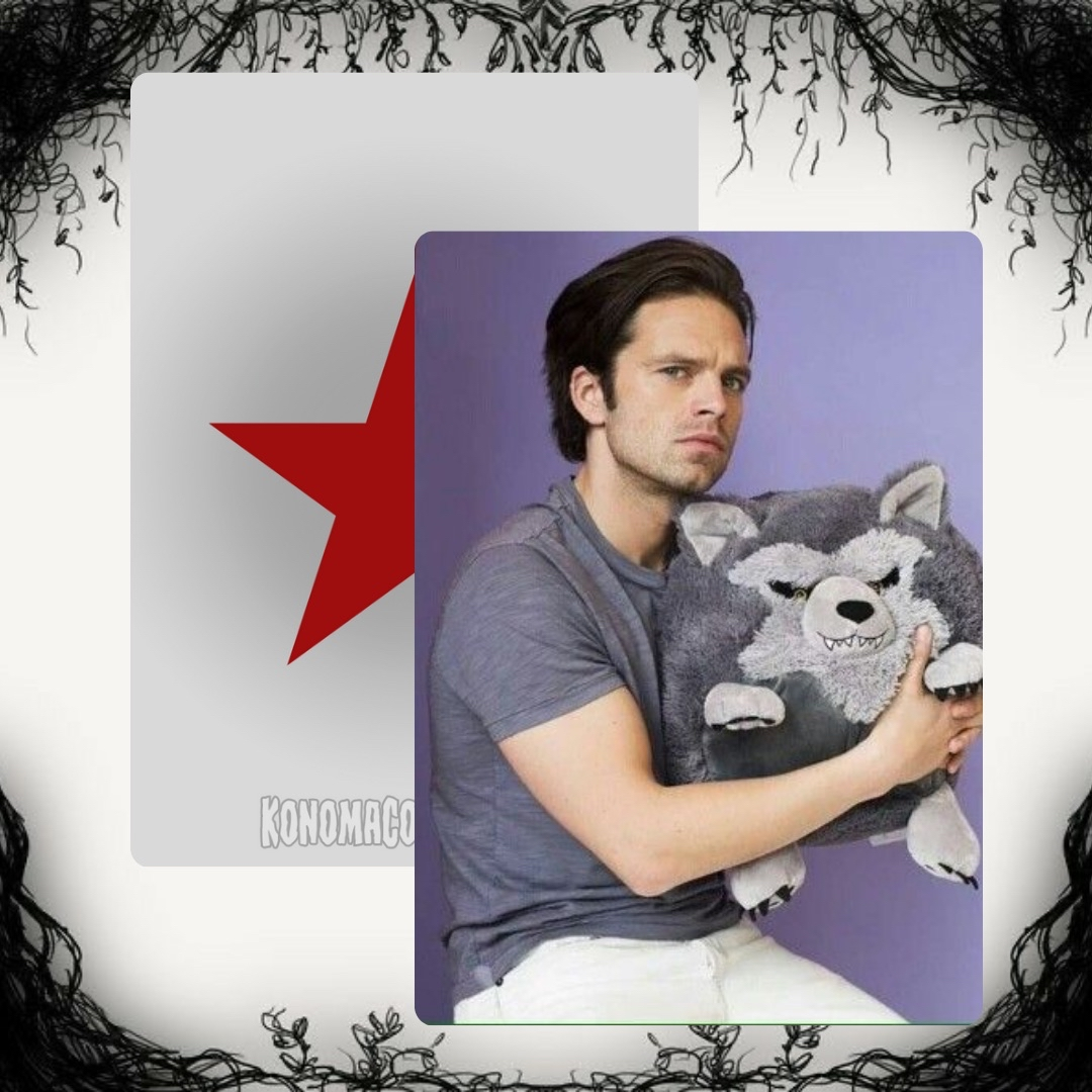Sebastian Stan Photo Cards