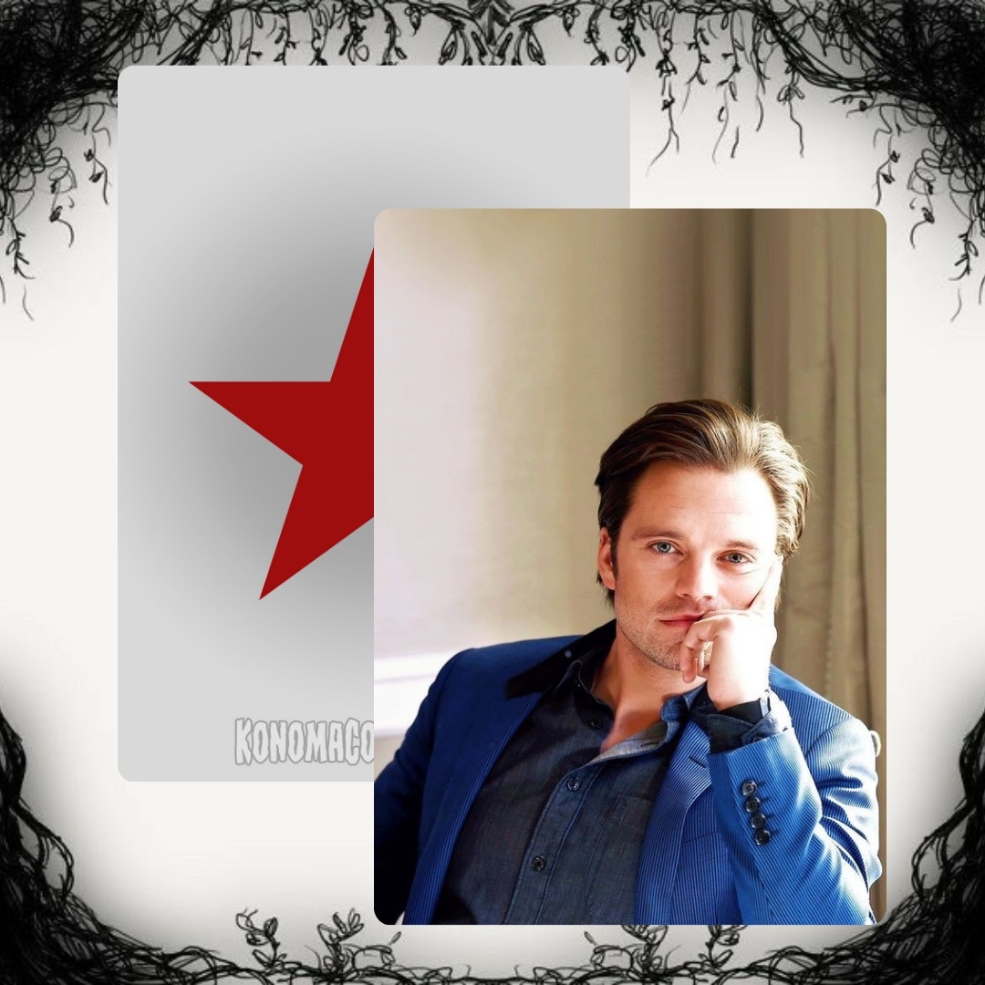 Sebastian Stan Photo Cards