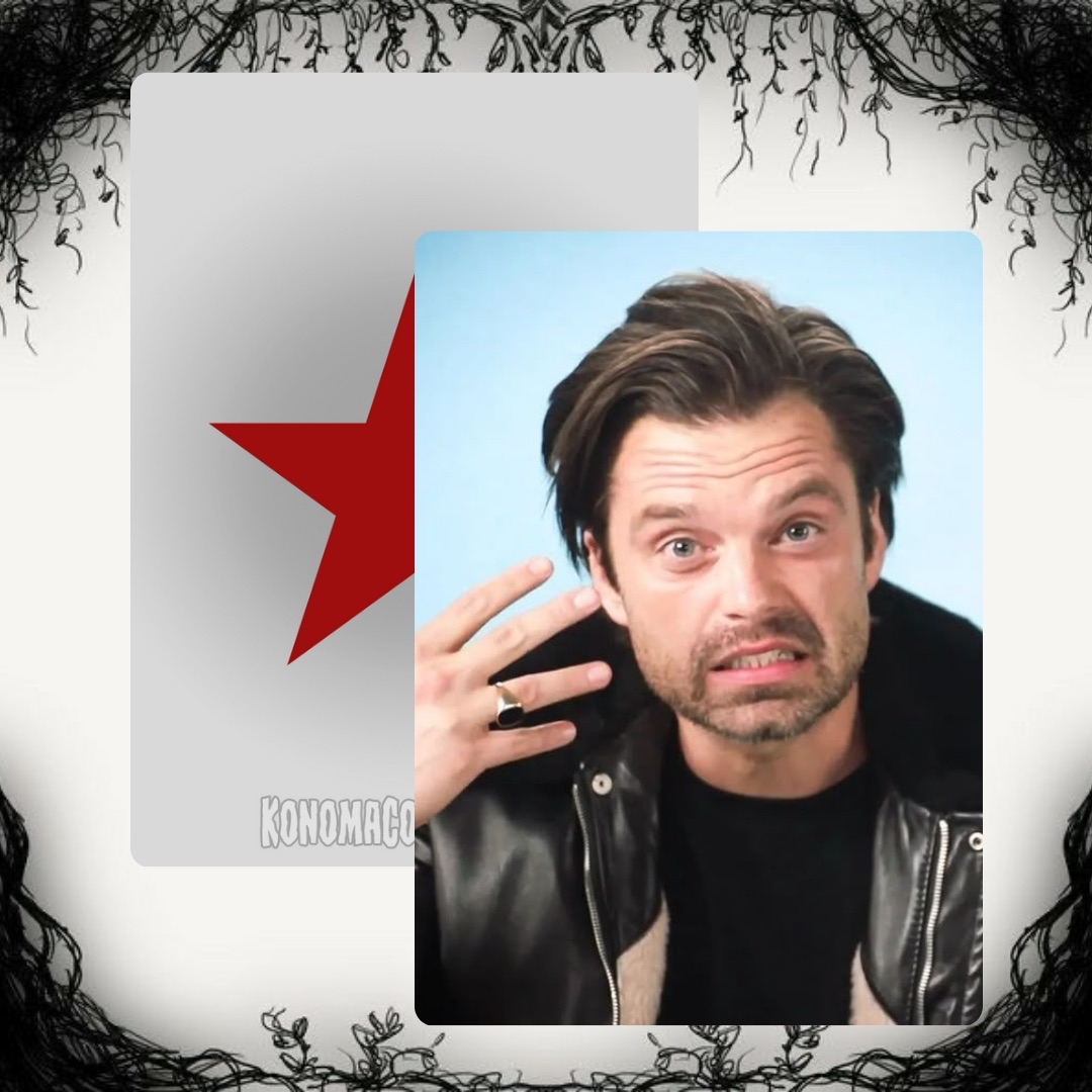 Sebastian Stan Photo Cards