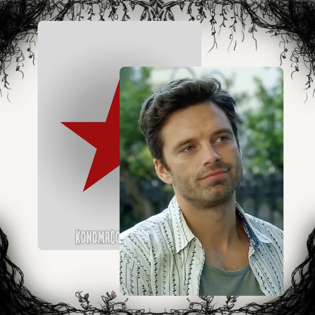 Sebastian Stan Photo Cards