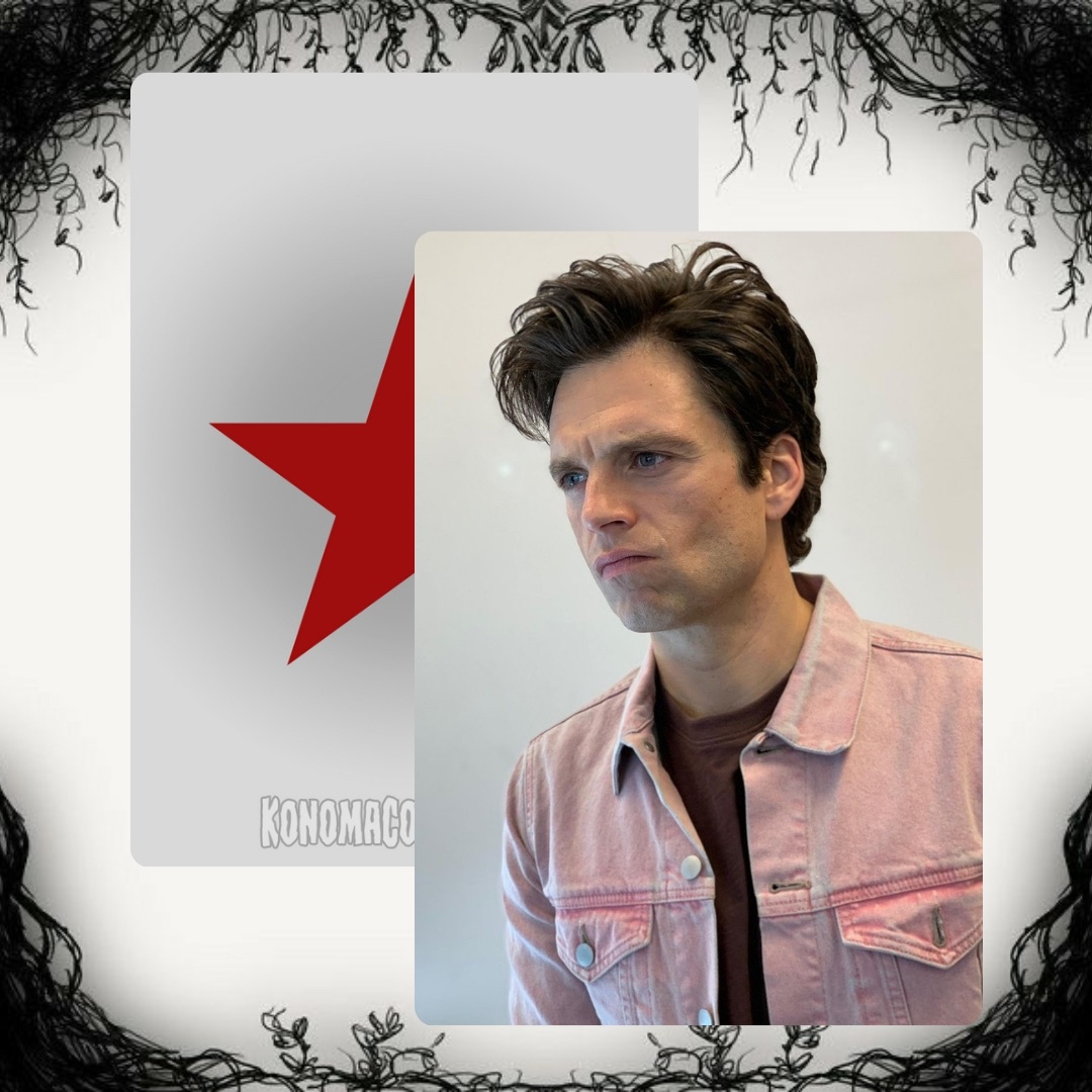 Sebastian Stan Photo Cards