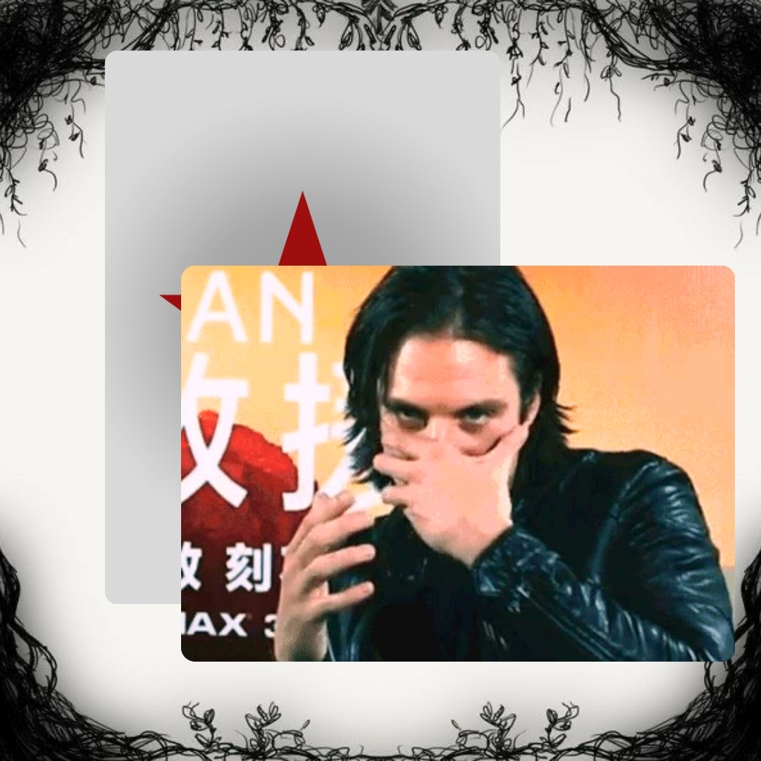 Sebastian Stan Photo Cards