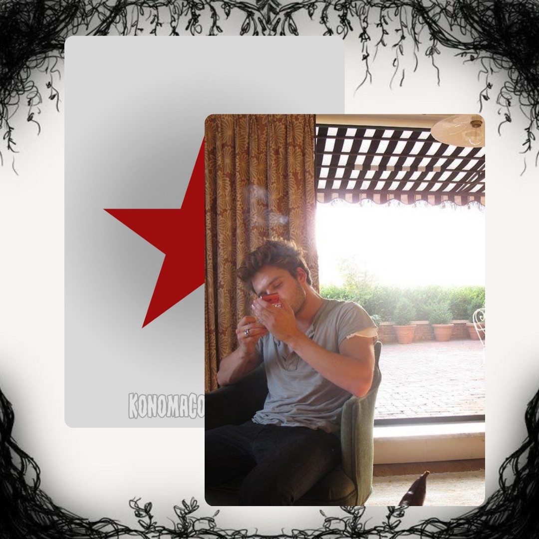 Sebastian Stan Photo Cards