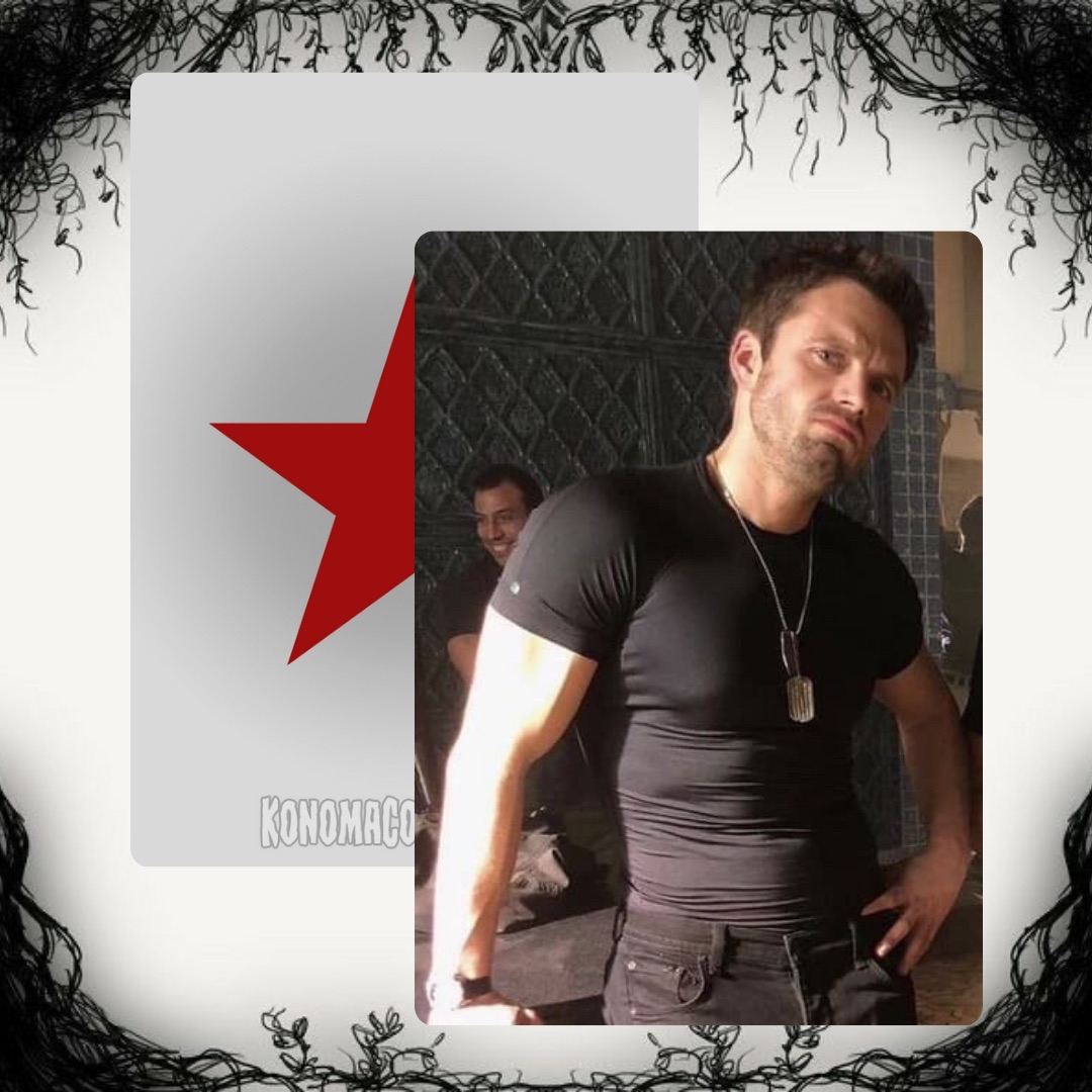 Sebastian Stan Photo Cards