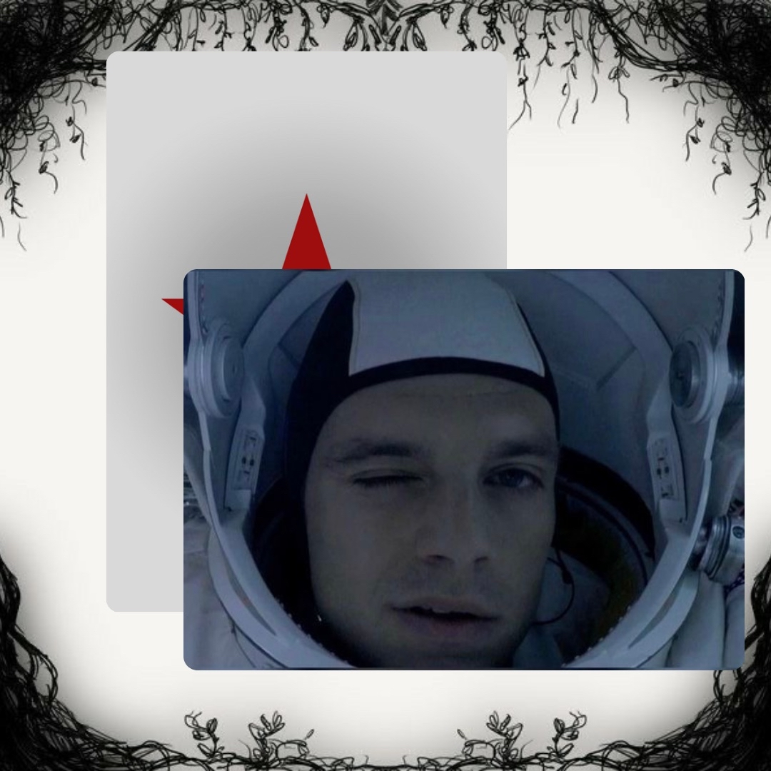 Sebastian Stan Photo Cards