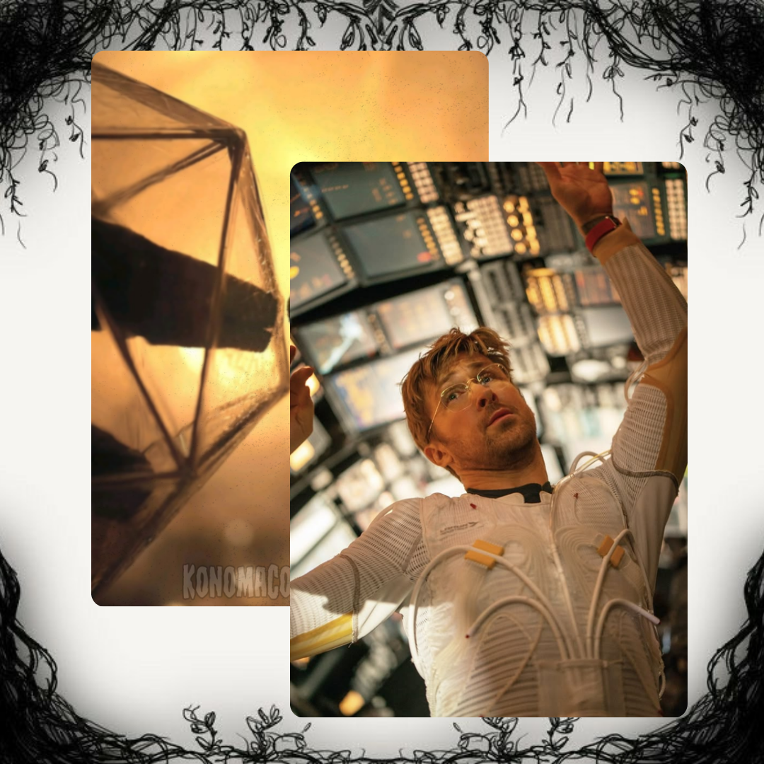 Ryland Grace Photo Cards