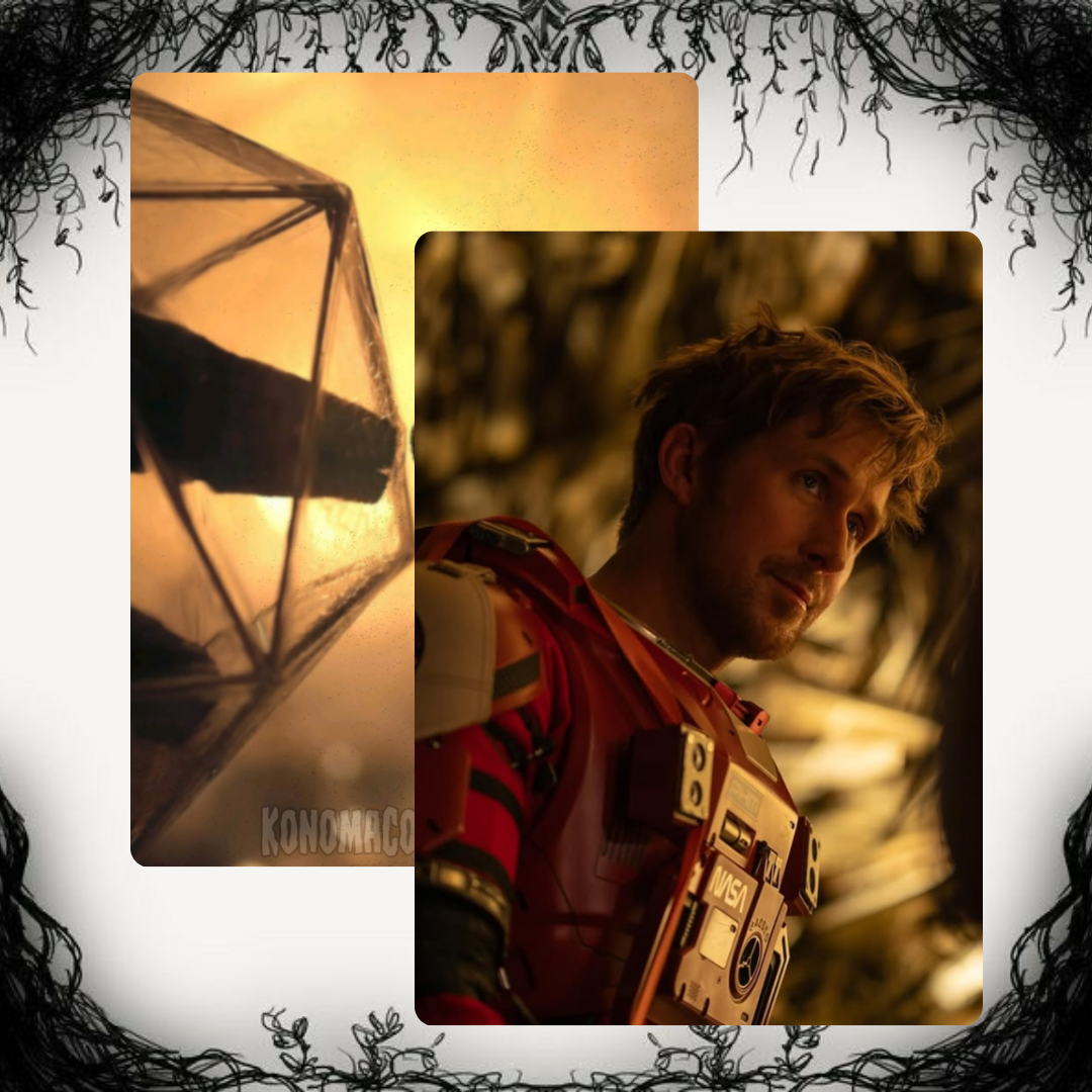 Ryland Grace Photo Cards